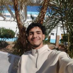 Fares Lairedj