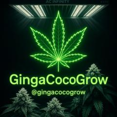 Ginga CocoGrow