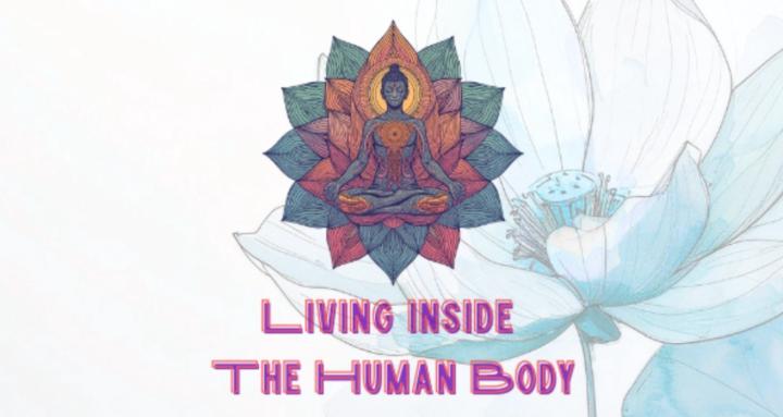 Living Inside The Human Body