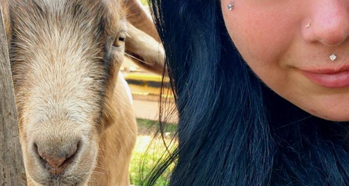 Tiny Homestead Farms