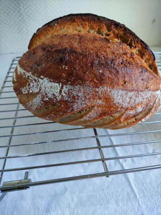 Another Sourdough 