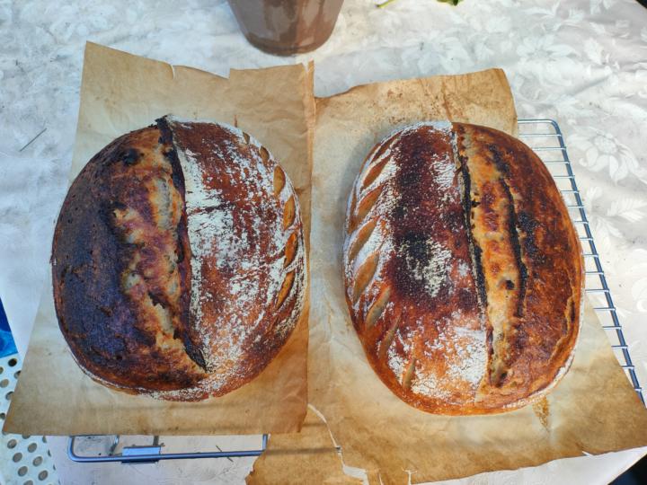 My daily sourdough bread 