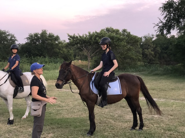 Looking for a Horse Stable in Asuncion. 