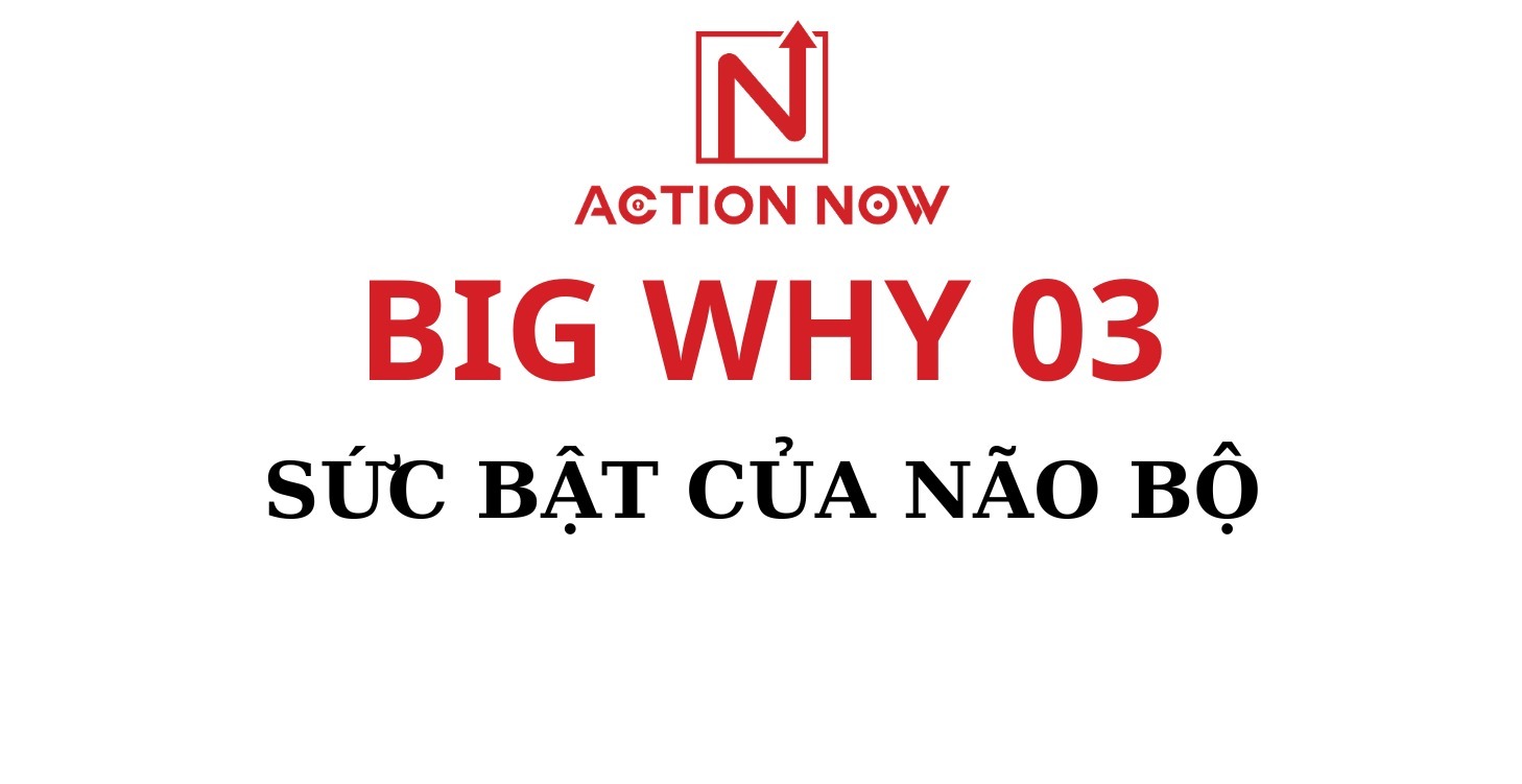 Big Why 3_ Sức Bật Não Bộ