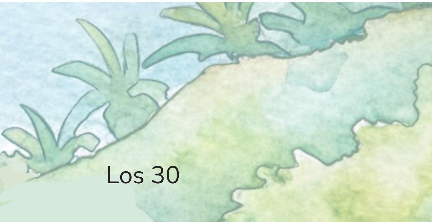 Los 30: limpieza profunda