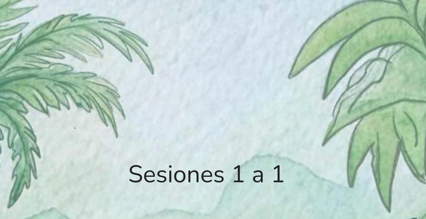 Sesiones 1 a 1