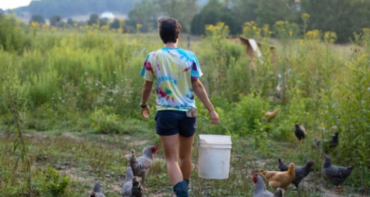 Grandma’s Homestead Herd