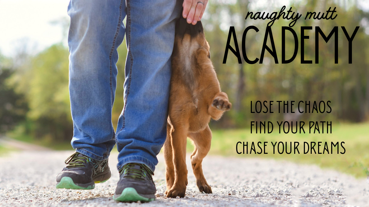 Naughty Mutt Academy