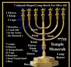 Pure Tahor