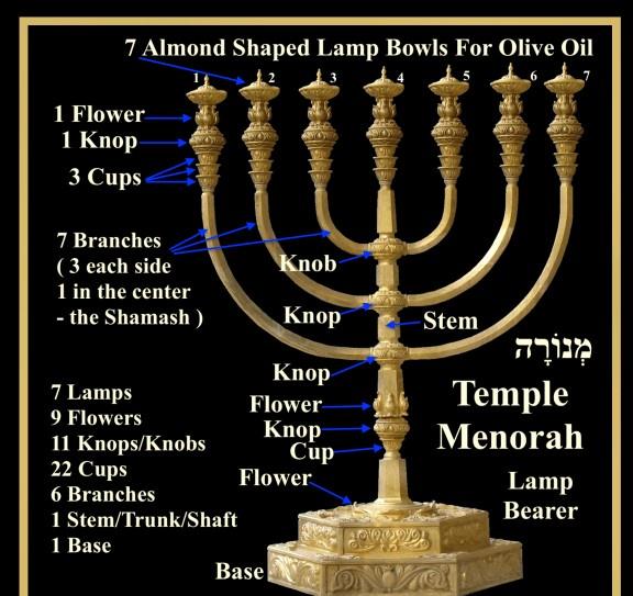 Pure Tahor