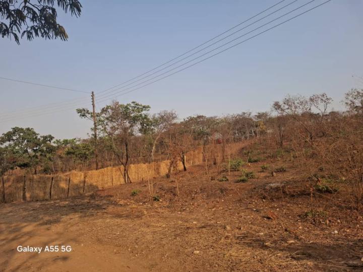 Tapedzanhamo Kapfunde
