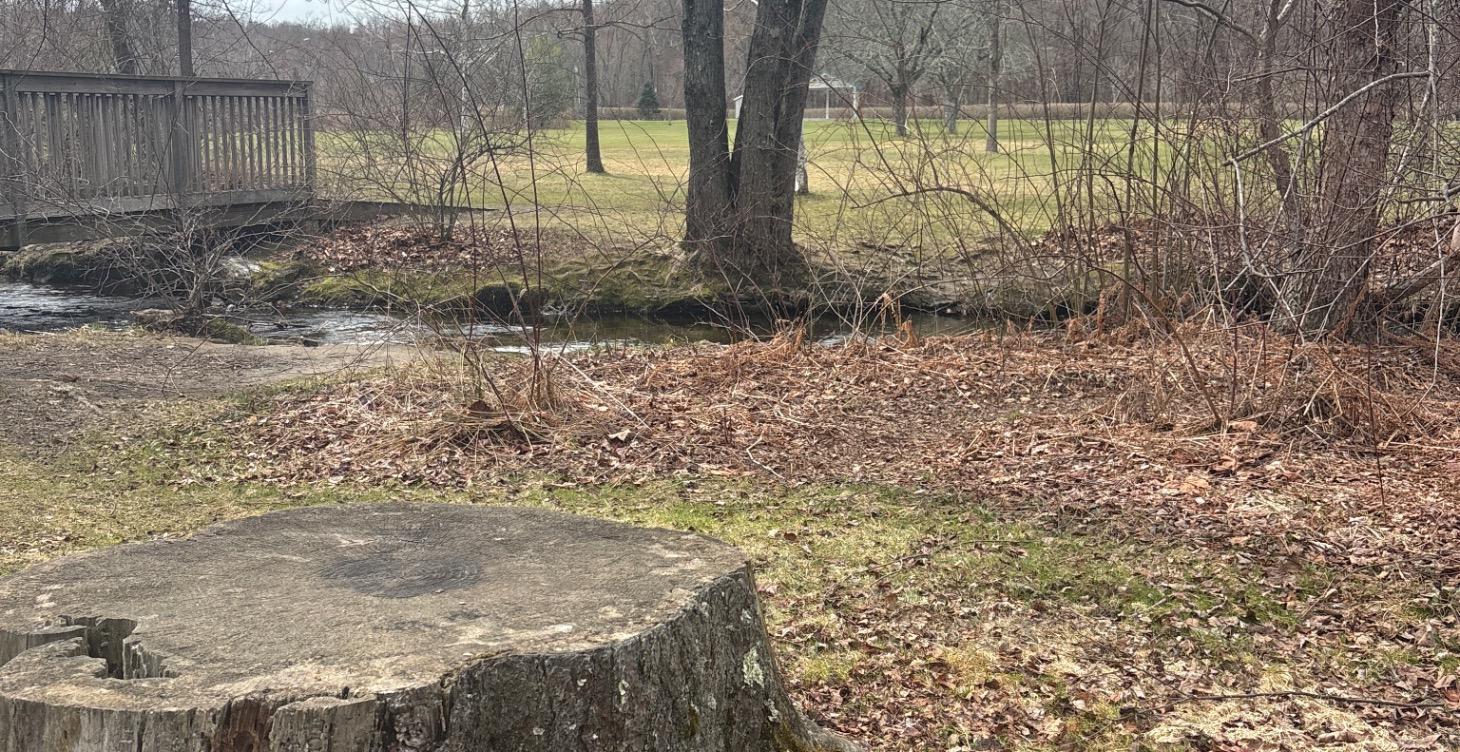 Grounding Meditation