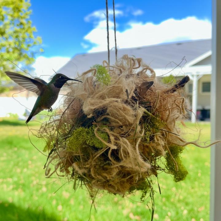 Ostara Nesting Ball: A Gift for the Birds 