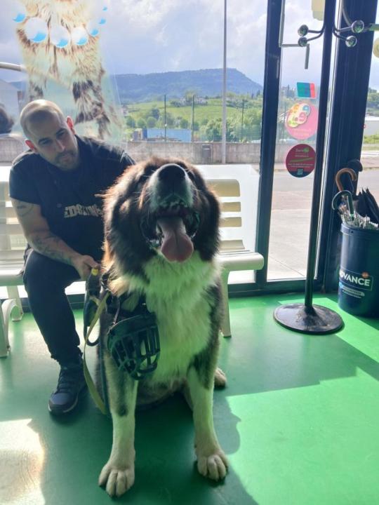 Ekaitz Echevarría García