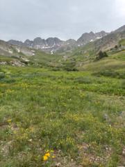 Catherine Stolboushkin