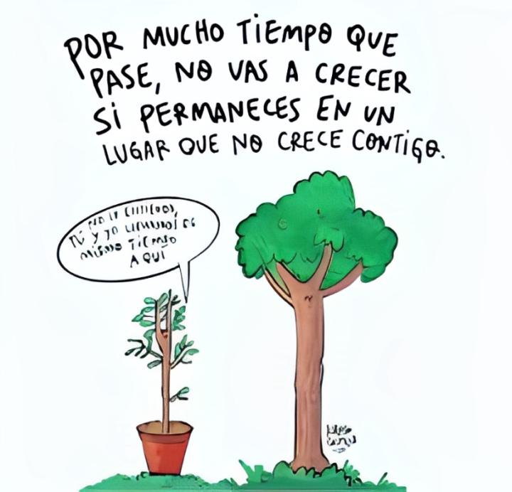 No dejes de Crecer 🌳