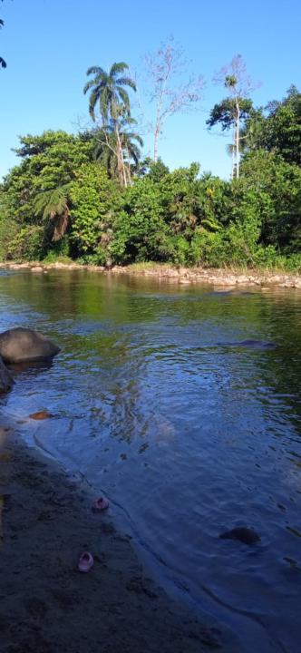Gabriela Encarnacion