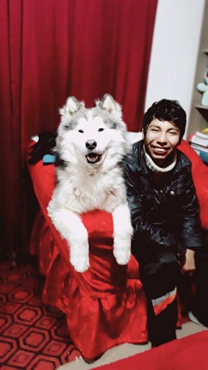 Kevin Arnol Llacsa Bustinza