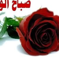 Hameedah Begum Khan Abdul qayyum Khan