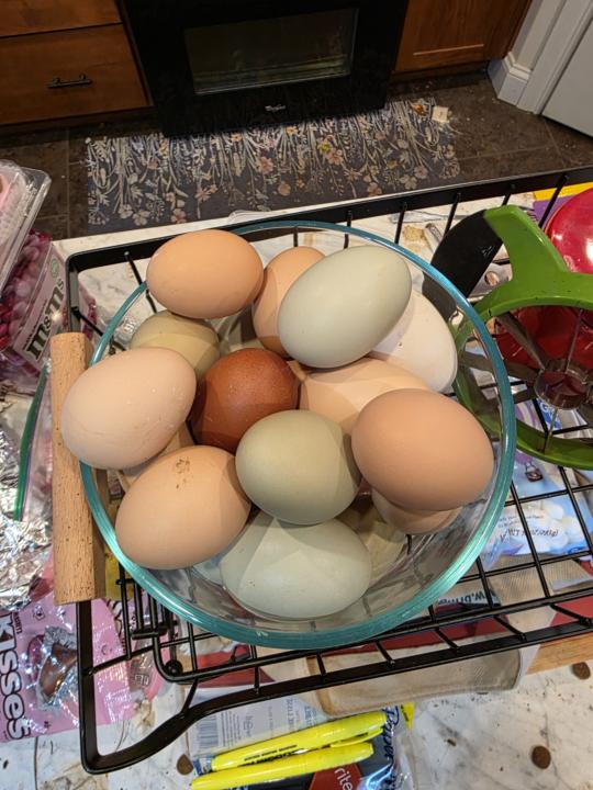 Farm Fresh Eggs!