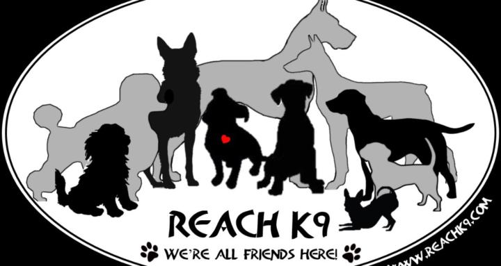 REACH K9