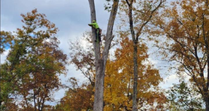 Rope Access 101