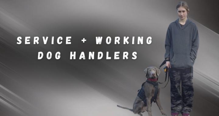 SD+Working Dog Handlers