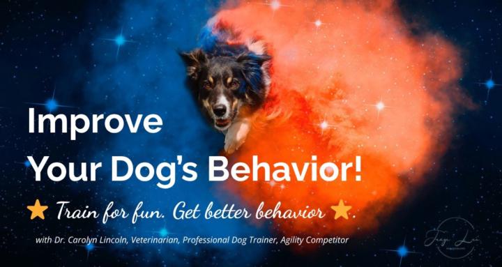 Improve Your Dog’s Behavior