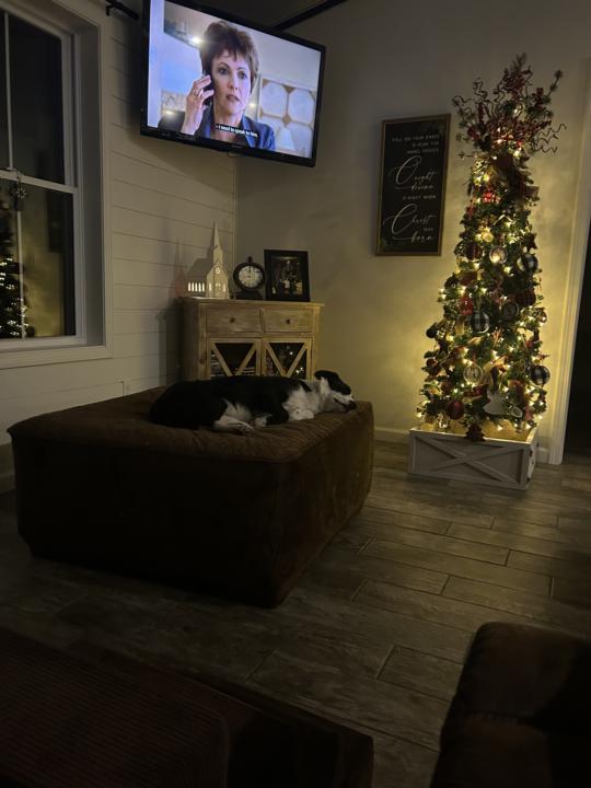 Indoor snowy cold games  