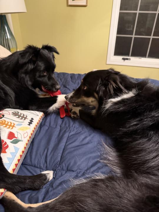 I’m certainly thankful that…