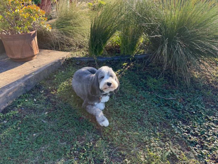 Archie says “Hey!”