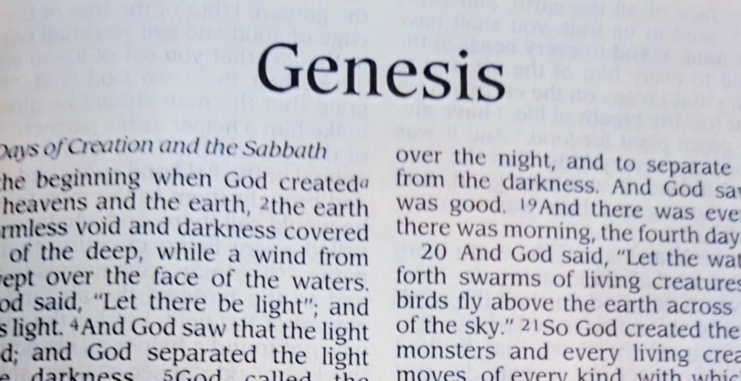 Reading of Genesis