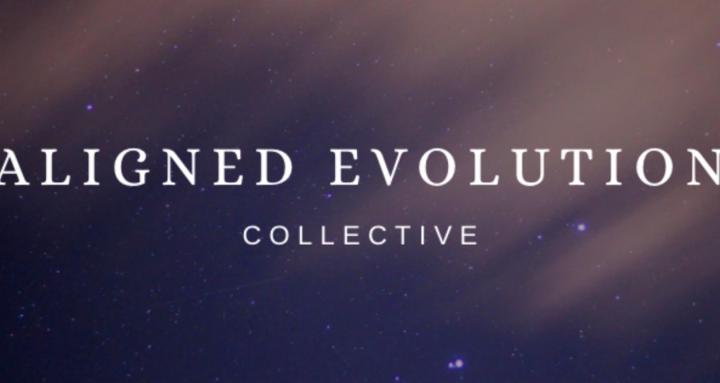 Aligned Evolution Collective