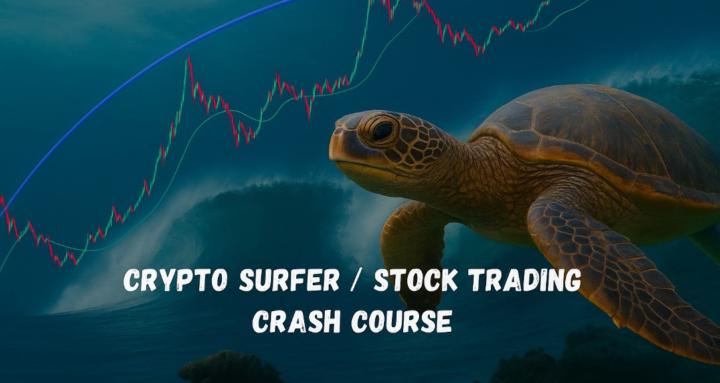 Crypto Surfer / Stocks 100x