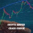 Logo Crypto Surfer / Stocks 100x