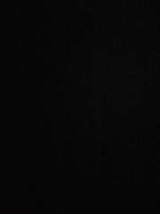 تركي الفلاج