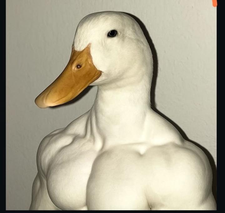 Mehdzyy Tx