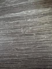 Elba Guadalupe Franco Navarro