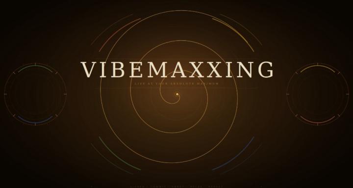 VibeMaxxing