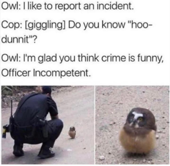 Come see this quick !😂😂🤭