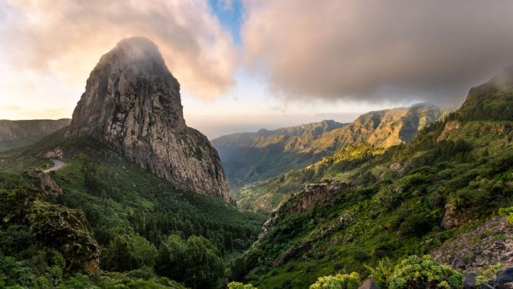 Jefferson Tamayo restrepo