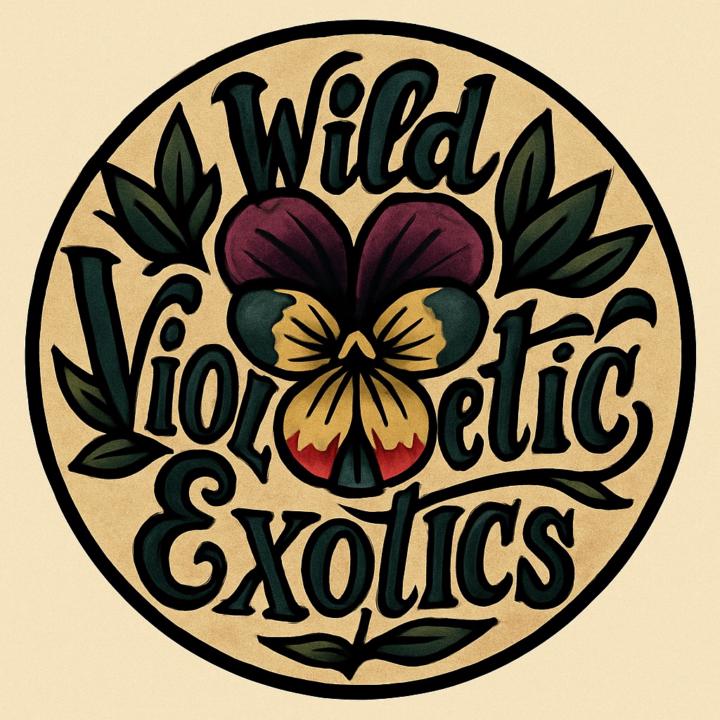 Alexander Hilliard Hammond