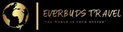Everbuds Travel