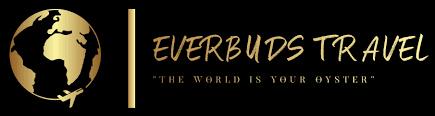 Everbuds Travel