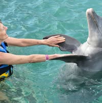 Charlotte A McKernan