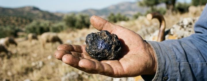 La piedra que curó una fiebre mortal en menos de 3 minutos