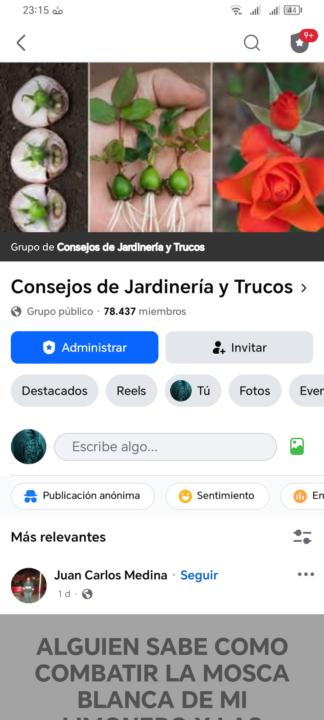 Como resolver los problemas. 