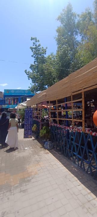 Ouafae Taoufiq allah