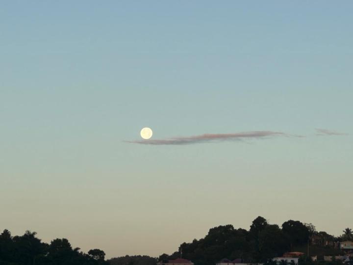 Delecia James