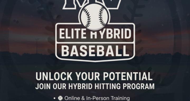 Mvhybrid college hitter system